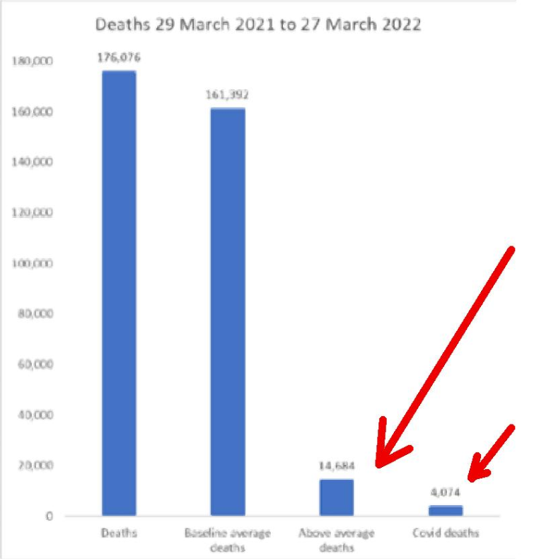 Excess non-covid deaths in Australia